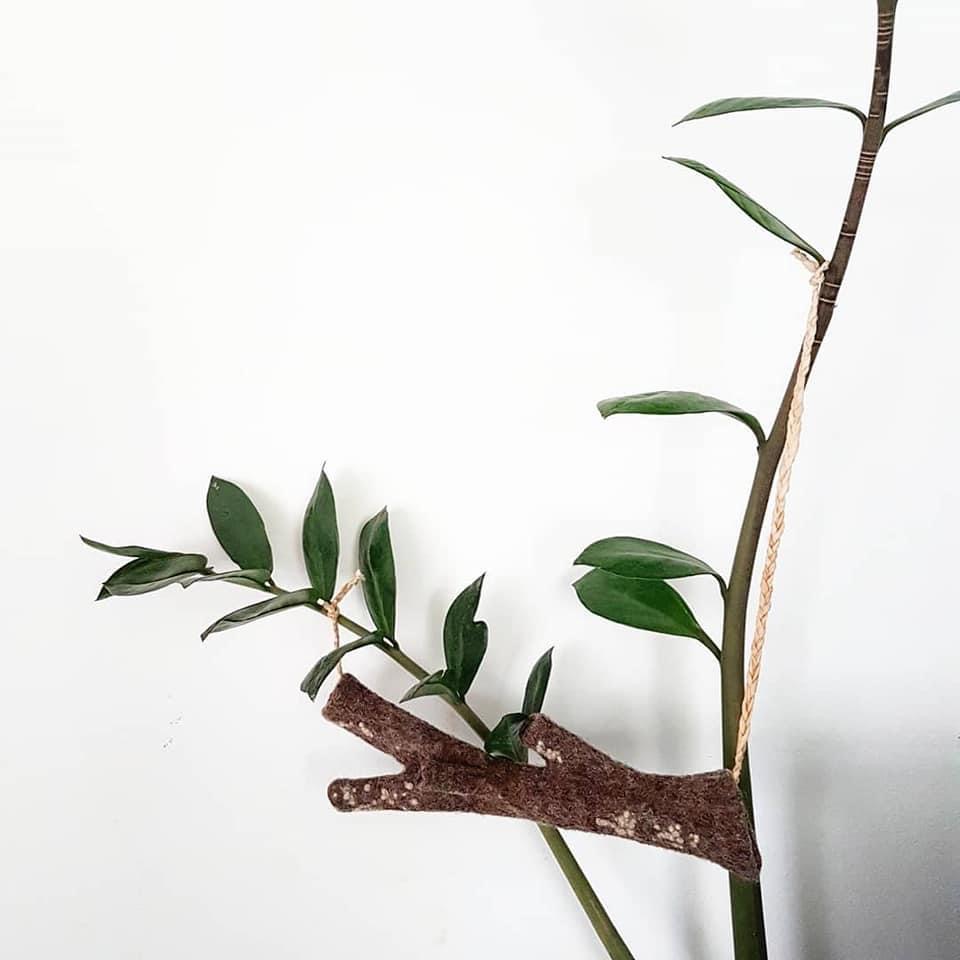 Branch